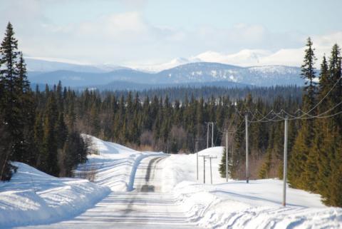 A Swedish road in winter